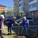 К юбилею Победы на ишимских улицах высадили 75 яблонь и рябин 