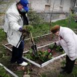 Акцию «Палисадник Победы» провели в Сургуте