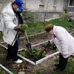 В России благоустроили более тысячи палисадников у домов ветеранов к 9 мая