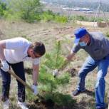 Волонтеры приняли участие в посадке деревьев