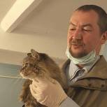 Костромские волонтёры помогают приюту для бездомных животных