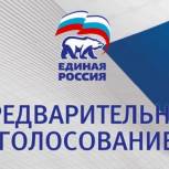 Более полумиллиона человек зарегистрировались для участия в предварительном голосовании «Единой России»