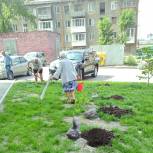 В Октябрьском районе высадили саженцы рябины, сосны и березы  