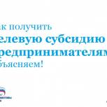 Сегодня состоится прямой эфир по вопросам получения целевой субсидии предпринимателями Новгородской области 