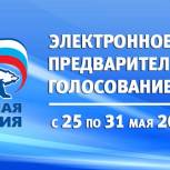 Информация для кандидатов предварительного голосования