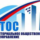 Ульяновские партийцы предлагают предоставить ТОСам право управлять прилегающей территорией