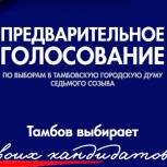 Более миллиона избирателей зарегистрировались для участия в предварительном голосовании «Единой России»