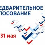 В «Единой России» началось предварительное голосование