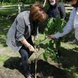 В Урюпинске прошла акция «Аллея добра», приуроченная к Международному дню защиты детей