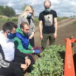 Луховицкий координатор партпроекта «Российское село» провел для молодежи мастер-класс по посадке овощей