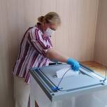В Токаревском районе подвели итоги предварительного голосования