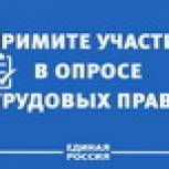 Примите участие в опросе о трудовых правах!