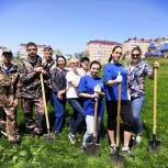  В Долинске партийцы высадили березы