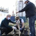 В Пензенской области продолжается закладка «Садов Памяти»