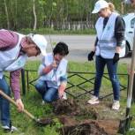 В Мурманской области стартовала акция «Сад памяти»