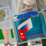 В Туве началось досрочное голосование по поправкам в Конституцию 