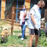 Активисты МГЕР оказали помощь приюту для животных «Лисена»