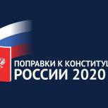 Какие поправки в Конституцию РФ вынесены на голосование