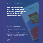 Молодогвардейцы Якутии за поправки в Конституцию Российской Федерации