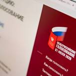 Открыто электронное голосование по внесению поправок в Конституцию России