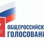 Голосование по поправкам в Конституцию стартовало в Томской области
