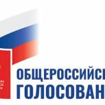 В Сочи открылись 246 участков для голосования по поправкам в Конституцию