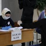 Наблюдатели не выявили нарушений на Общероссийском голосовании в Чеченской Республике