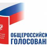 Общероссийское голосование в Югре: проголосовали 607 496 человек