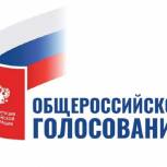 Явка избирателей по состоянию на 12 часов в Новосибирской области