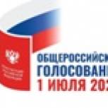 Заявление о голосовании на дому можно подать до 17 часов 1 июля