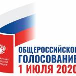 Явка на голосовании по поправкам в Конституцию РФ в Москве на 10:00 составила 42,35%