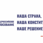 Общественные наблюдатели рассказали Главе региона о ходе голосования по внесению поправок в Конституцию