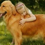Лучший друг человека: как правильно заботиться о собаках