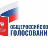 В Курской области явка на голосовании по поправкам в Конституцию составила более 57%