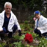 Партийцы Новой Москвы высадили цветы в новом микрорайоне