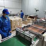 Краснодарская компания по выпуску упаковочных материалов вошла в нацпроект «Производительность труда и поддержка занятости»