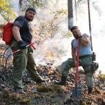 В Башкортостане волонтёры проекта «Наша забота» помогают в тушении лесных пожаров