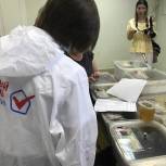 «Народный контроль» проверил качество меда на костромских прилавках