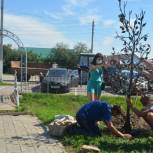 На аллее Любви в Воробьевке появилось древо семейной верности