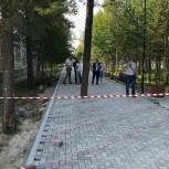 «Спилить нельзя оставить» - мэр Муравленко просит горожан правильно поставить запятую