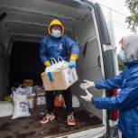 Волонтеры передали корм, медикаменты и предметы обихода для бездомных животных в нижегородский приют 