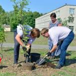 Навести порядок в головах: почему экология становится темой номер один?