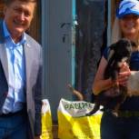Активисты забайкальского Совета сторонников партии «Единая Россия» помогли приюту для бездомных животных 