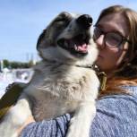 В Челябинске прошла акция в поддержку приютов для животных «Лучший друг»