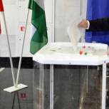 В Башкортостане к 12 часам явка на выборах составила 25,31%