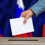 В Курской области завершилось голосование