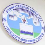 Явка в НАО на выборах губернатора Архангельской области на 18.00 составила 19,12%