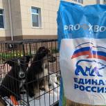 Единороссы Югорска организовали ярмарку для бездомных животных