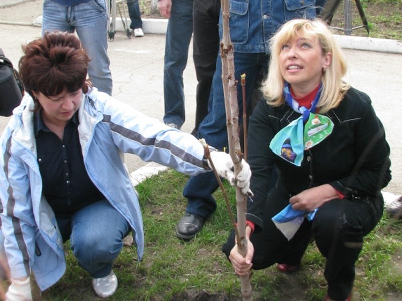 Субботник на Соколовой горе
