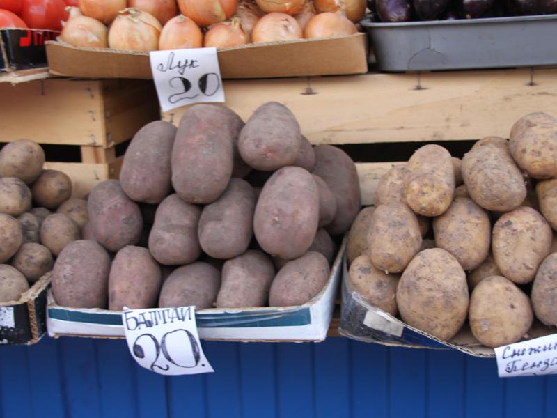 "Народный контроль" в Крытом рынке Саратова